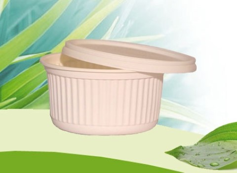 فروش کاسه گیاهی
